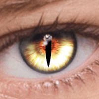 foxeyes-1