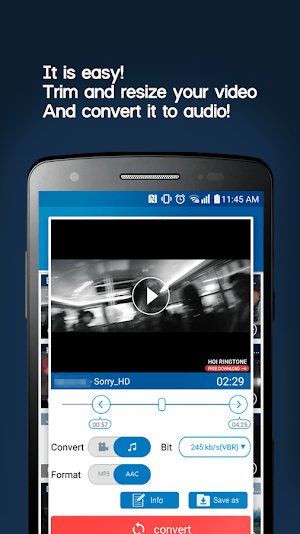 MP3 Video Converter 3